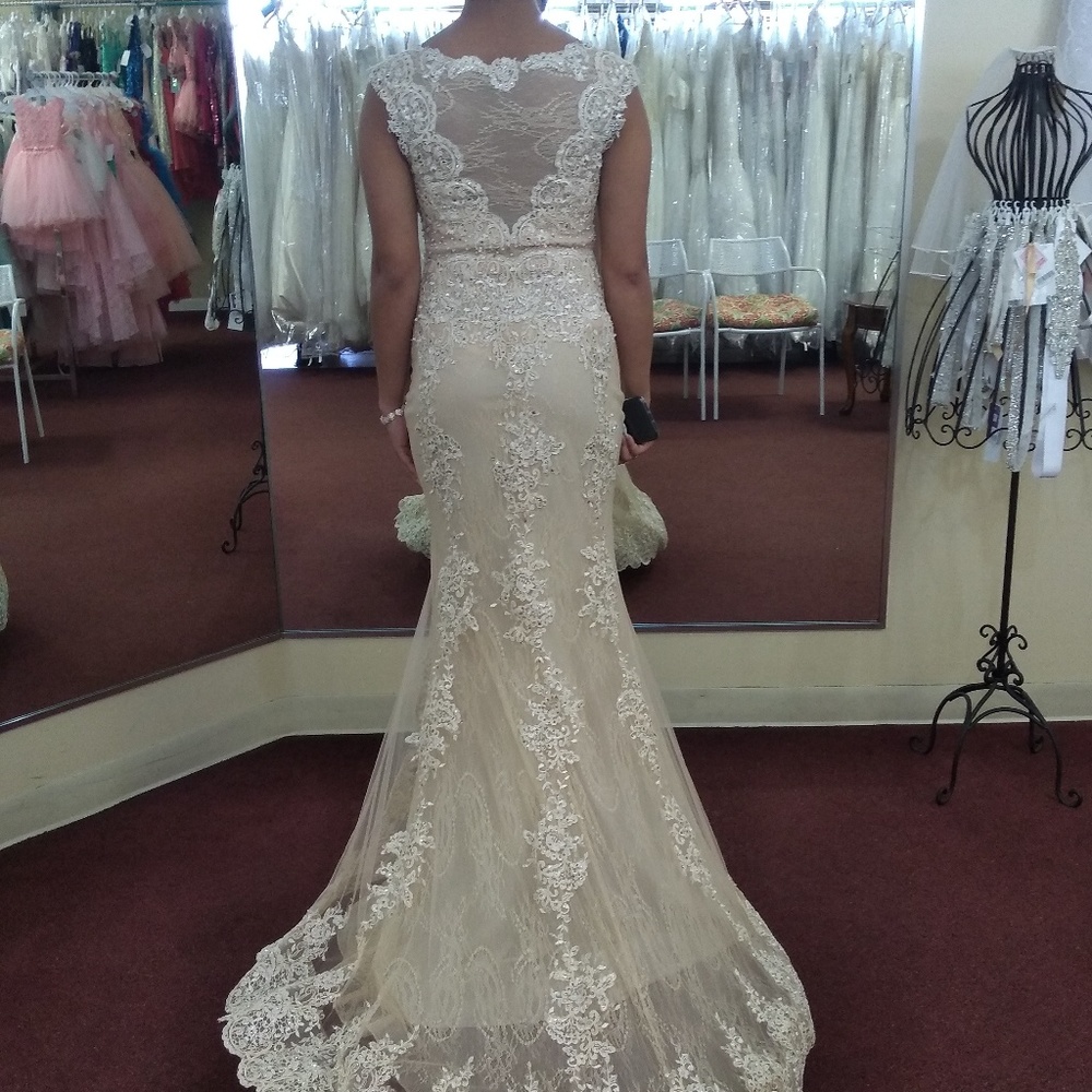 Bridal gown or formal dress